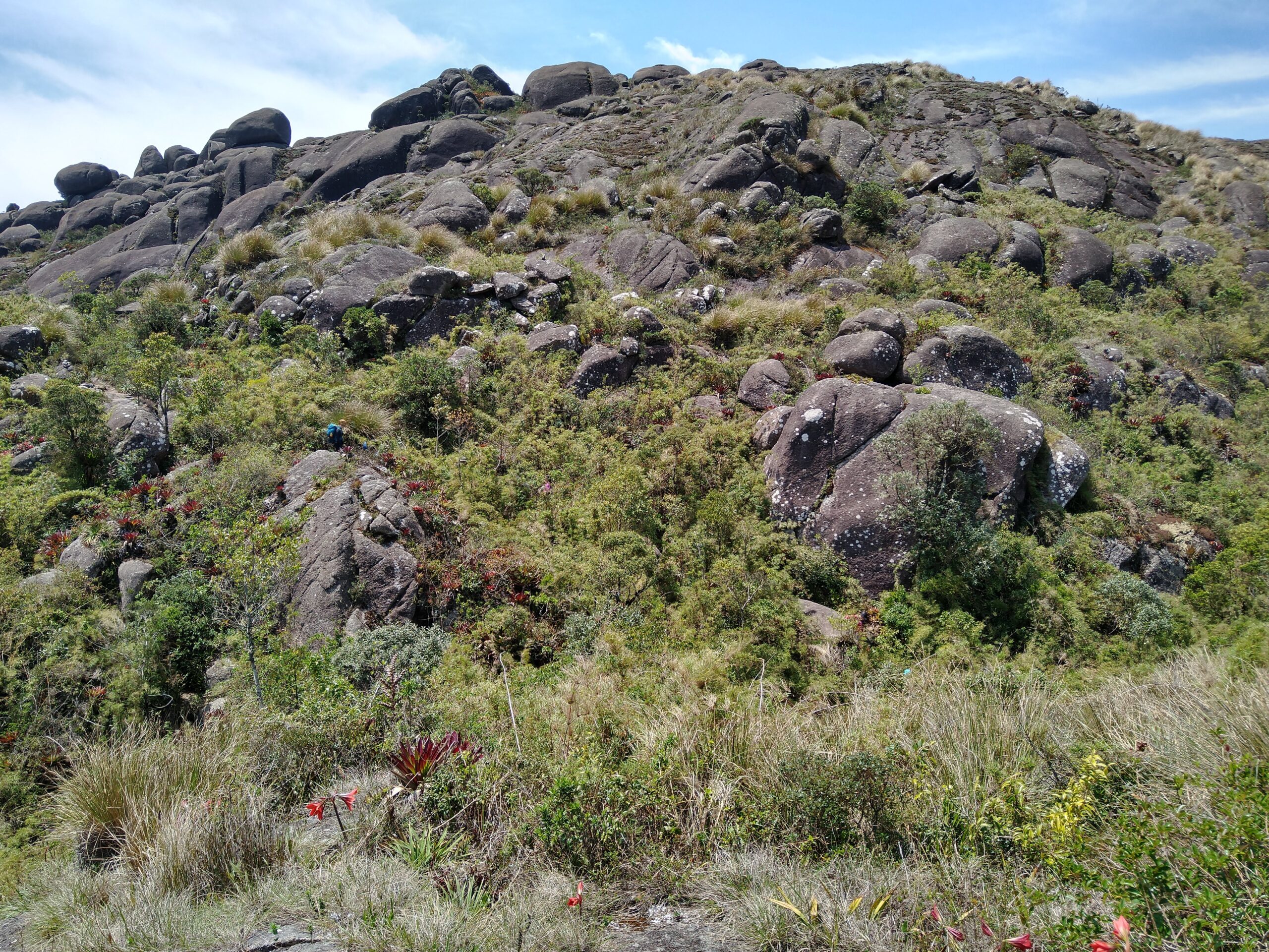 Bate e volta Pico Do Itaguare - Image 6
