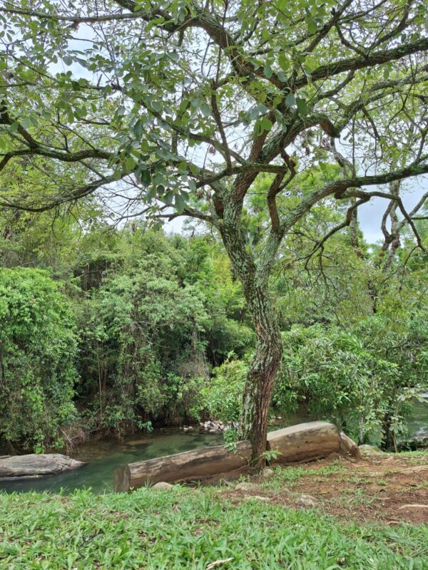 Poço Do Major Rancho Toledo - Image 4